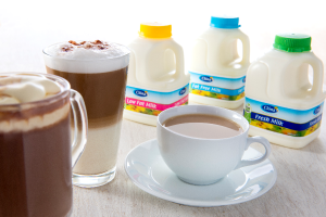 Clona Dairy - Milk Products